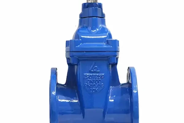 Van cổng dn250